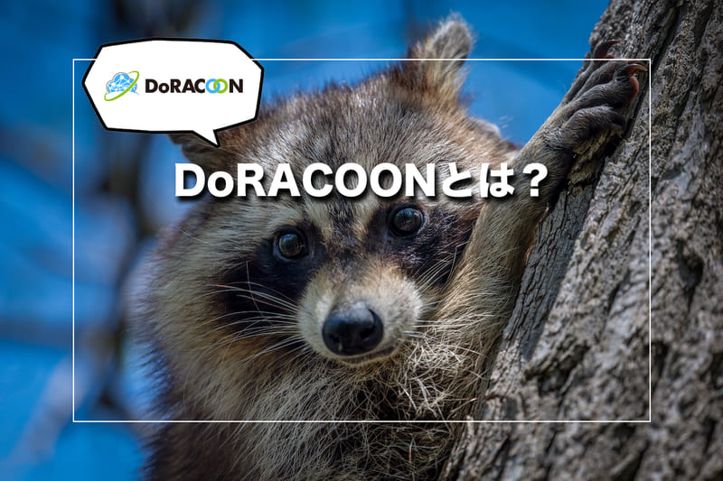 【基本情報】DoRACOON（ドゥラクーン）とは？