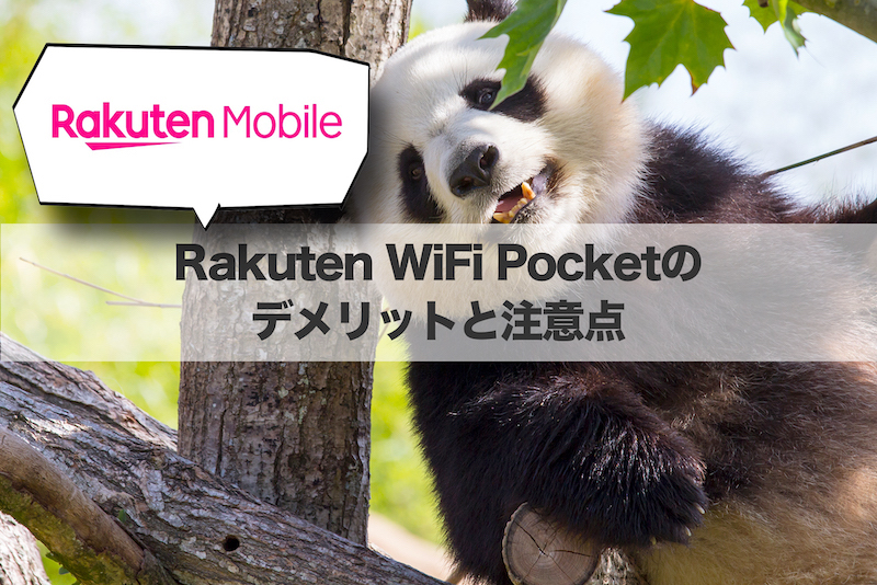 Rakuten WiFi Pocketのデメリットと注意点
